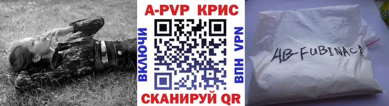 Купить где  Дмитриев  А ПВП СК 